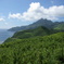口之島　緑のチクの島