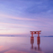 白鬚神社・・・Ⅰ