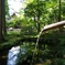 -Kyoto Ohara Sanzenin2-