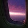 飛行機から
