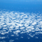 ひつじ雲