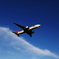 Flight