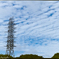 いわし雲