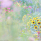 Flower garden