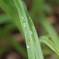 雨上がり