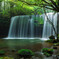 Green showerⅡ