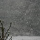 ３月の雪