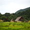 白川郷の田園風景