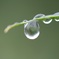 雨上がり…