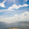 青春青夏