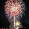 夏夜の生け花 ⑵