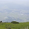 足元の風景