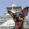 幸せの思い出