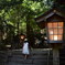 高千穂神社その2