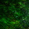 20150811_141323