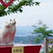 永遠の愛