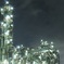 夜景…