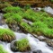 名水の滝☆