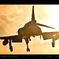  firebird.3