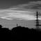 D70_0288