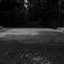 D70_0094