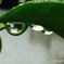 とざされた世界