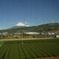 新幹線からの静岡