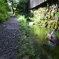 忍野八海の細道