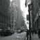 Lexington Avenue 