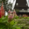 船橋アンデルセン公園