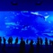 Blue World
