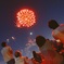 来年もまた・・・。
