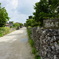 DSC00681