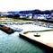 harbor