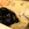 zzz...