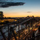 Alexandra Bridge 