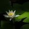 DSC07505
