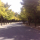 公園の、