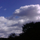 お空。