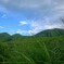 秋近し、阿蘇の夕暮れ　２