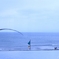 海を眺めて