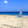 浜辺にて