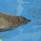 顔沈んでるよ？
