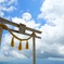 夏・天空の鳥居