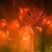 20150829-DSC01587