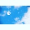 空を集める