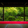 圓光寺 夏の額縁庭園