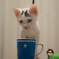 ティーカップと子猫