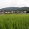 定点観測