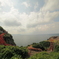 P8142438